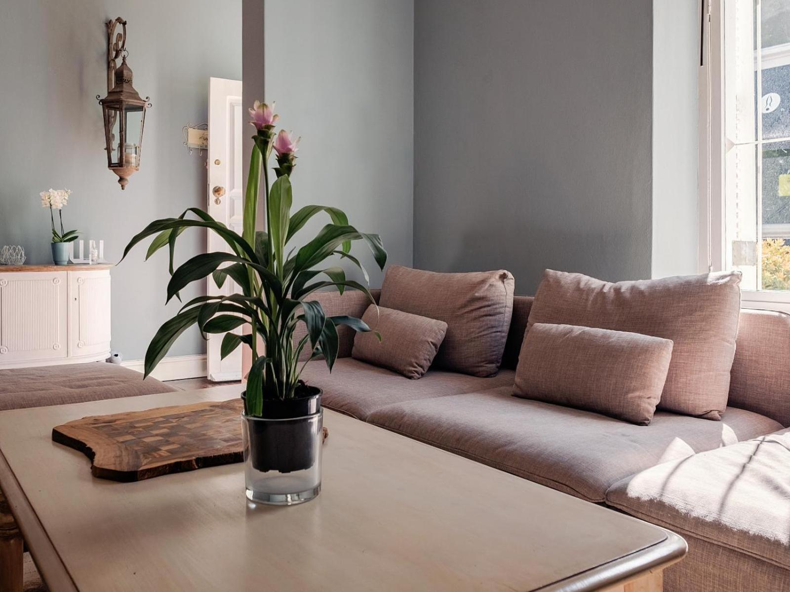 Purple House Accommodations كيب تاون الغرفة الصورة