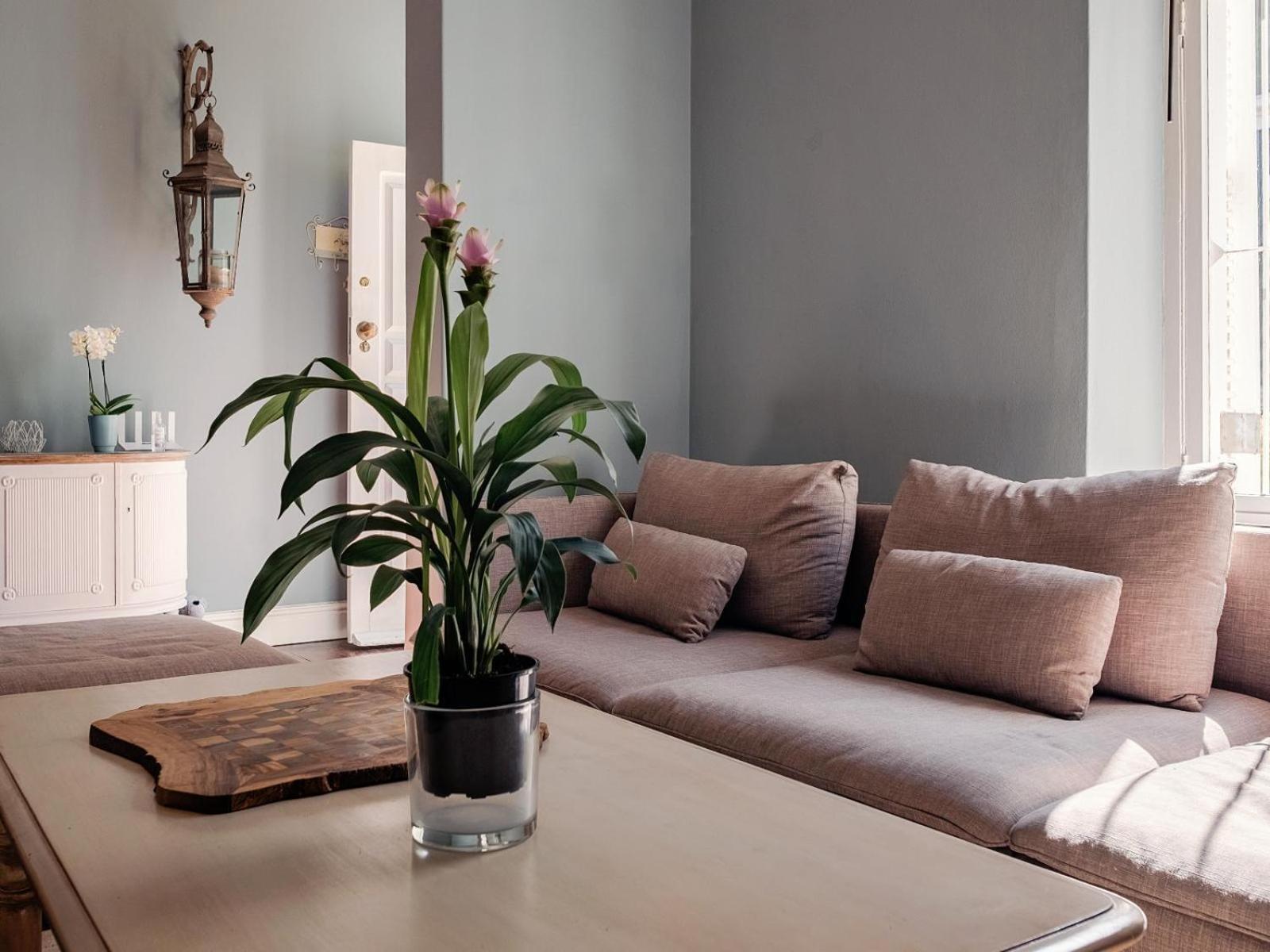 Purple House Accommodations كيب تاون الغرفة الصورة