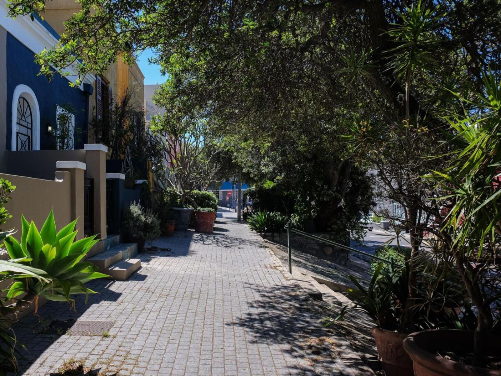 Purple House Accommodations كيب تاون المظهر الخارجي الصورة